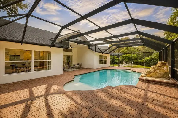 16414 BRIDGELAWN AVE, Lithia, FL 33547