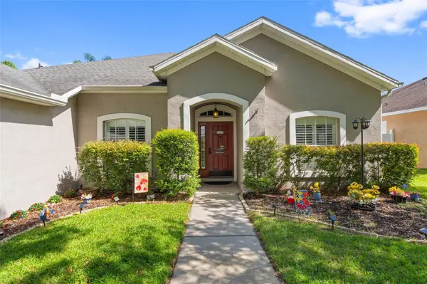 11916 SUMMER SPRINGS DR, Riverview, FL 33579