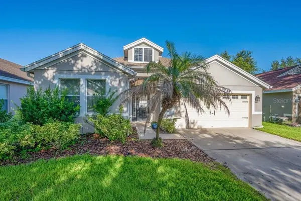 6105 GANNETSIDE PL, Lithia, FL 33547