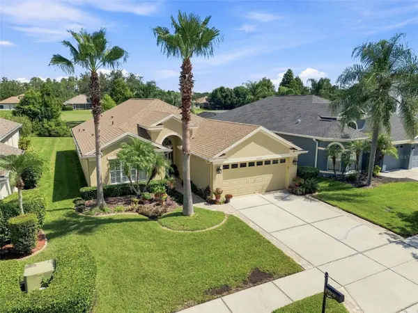 23737 ESTERO CT, Land O Lakes, FL 34639