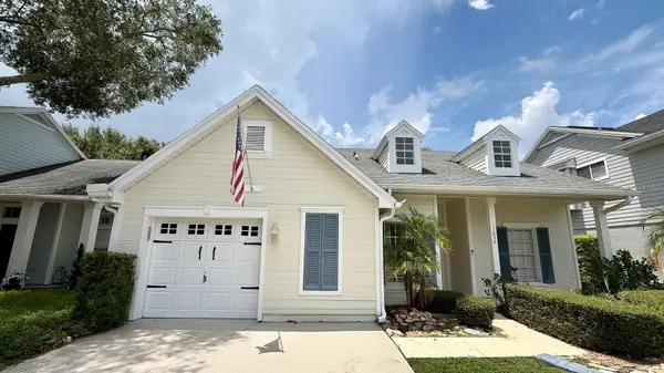 11838 BRANCH MOORING DR, Tampa, FL 33635