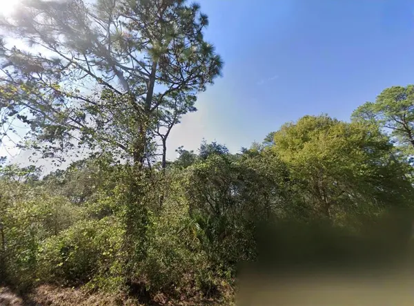CHINABERRY WAY, Eustis, FL 32736