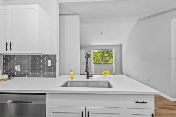 10265 GANDY BLVD N #1406, St Petersburg, FL 33702