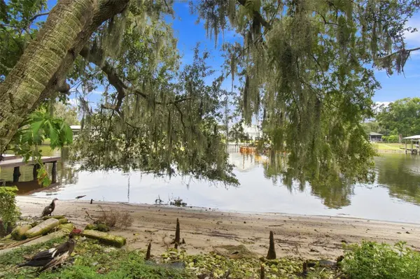 11301 SYLVAN GREEN LN, Riverview, FL 33569