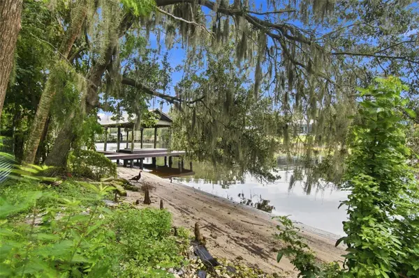 11301 SYLVAN GREEN LN, Riverview, FL 33569