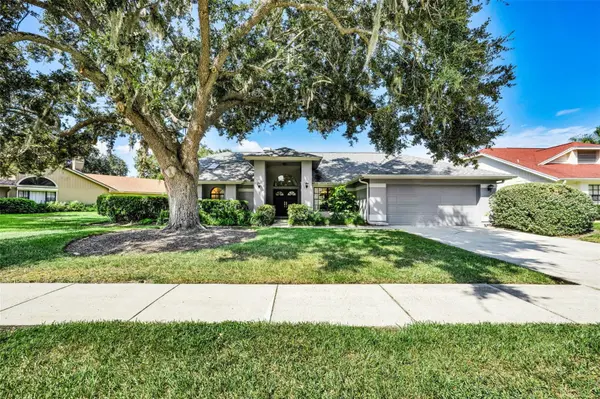 802 CENTERWOOD DR, Tarpon Springs, FL 34688