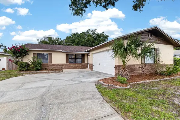 1006 SAXON CT, Brandon, FL 33510