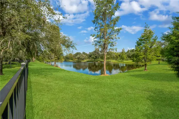 8406 LAGERFELD DR, Land O Lakes, FL 34637