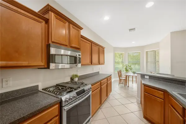 8406 LAGERFELD DR, Land O Lakes, FL 34637