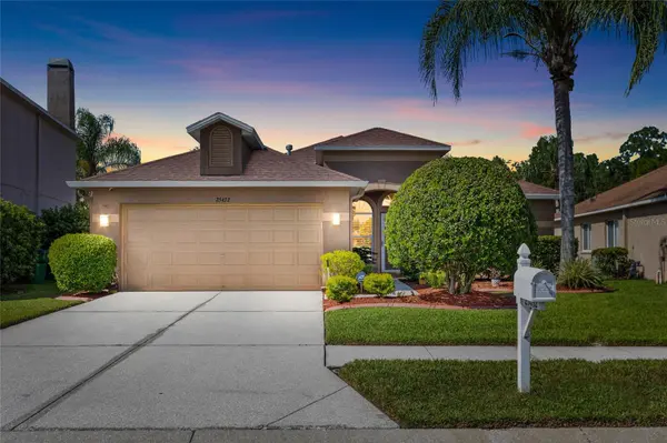 25432 GEDDY DR, Land O Lakes, FL 34639
