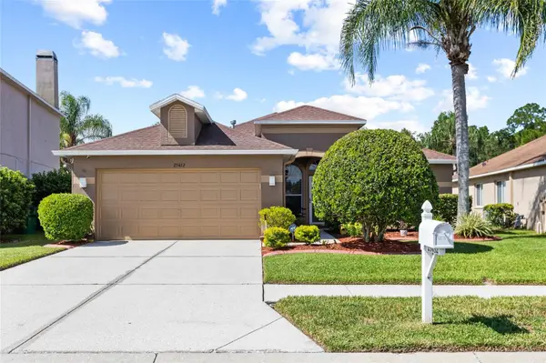 25432 GEDDY DR, Land O Lakes, FL 34639