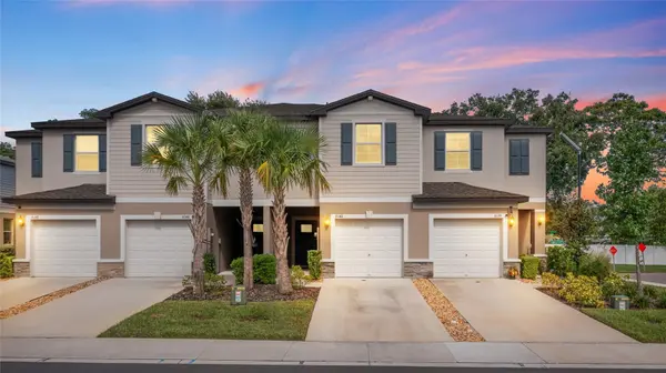 6140 SHINER ST, Land O Lakes, FL 34638