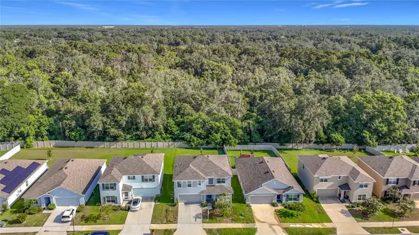 7737 ROSEWOOD GARDEN LOOP, Tampa, FL 33637