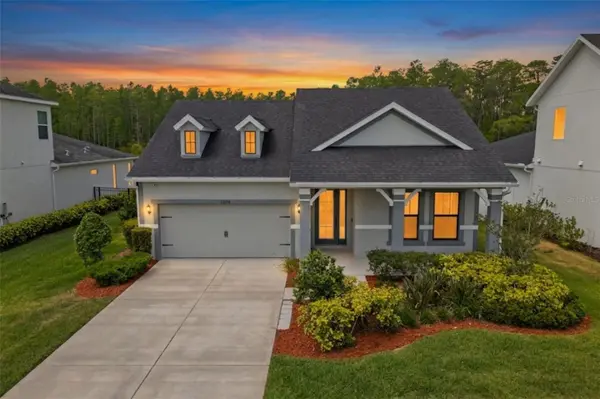 15170 AVILES Pkwy, Odessa, FL 33556
