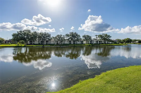 160 LAKEVIEW WAY #160, Oldsmar, FL 34677