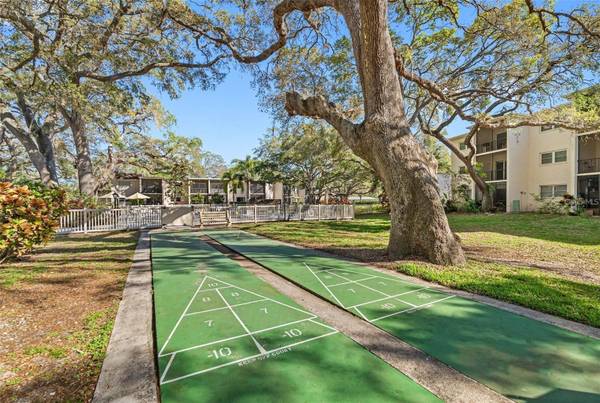 870 VIRGINIA ST #104, Dunedin, FL, 34698 photo 19