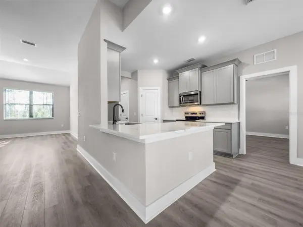 2411 GALLAGHER RD, Dover, FL 33527