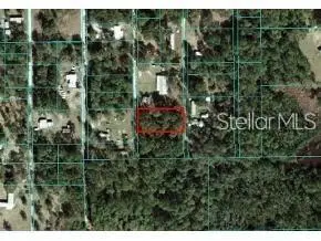NE 141ST TER, Fort Mc Coy, FL 32134