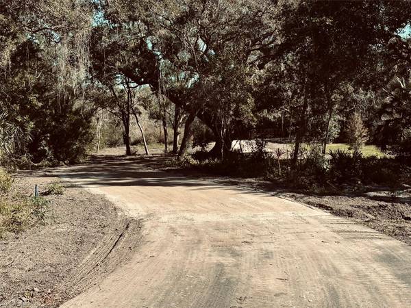 1676 HERMOSA DR, Palm Harbor, FL, 34683 photo 54