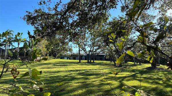 1676 HERMOSA DR, Palm Harbor, FL, 34683 photo 73