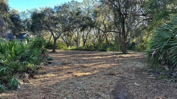 1676 HERMOSA DR, Palm Harbor, FL, 34683 photo 32