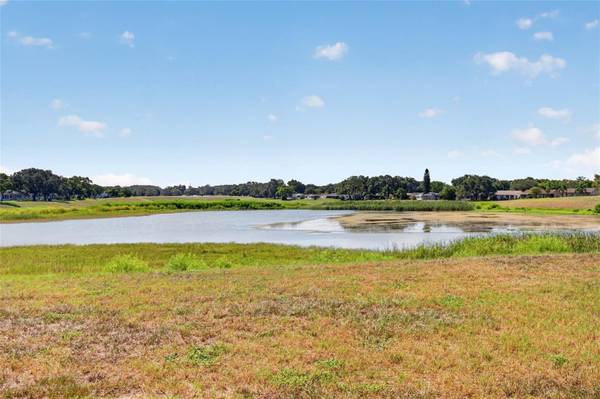 11130 CARRIAGE HILL DR #6, Port Richey, FL 34668