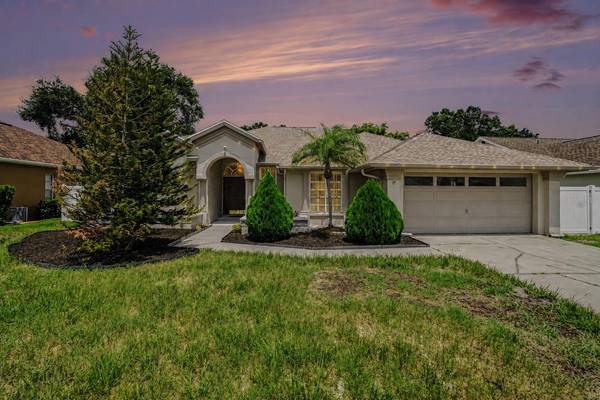 12410 DRIFTSTONE WAY, Riverview, FL, 33569 photo 28