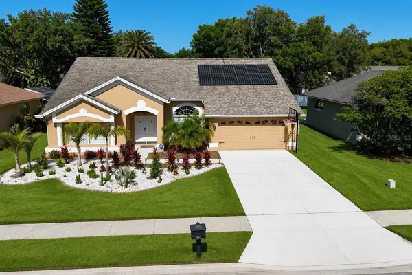 3992 JENITA DR, Palm Harbor, FL 34685
