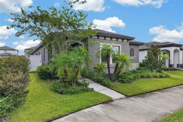 12427 BAY ESTUARY BND, Riverview, FL 33579