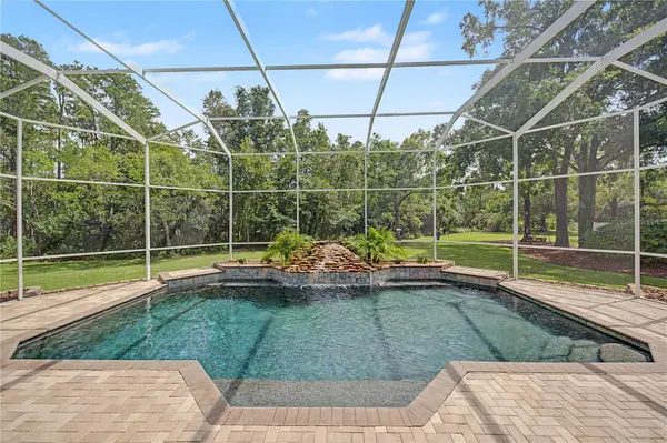 906 LAKE SAPPHIRE LN, Lutz, FL 33548