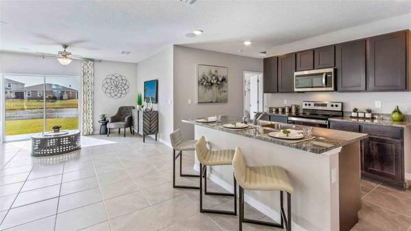 15028 COLTMAN HILL PL, Wimauma, FL 33598
