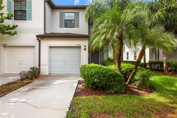 7667 GINGER LILY CT, Tampa, FL 33619