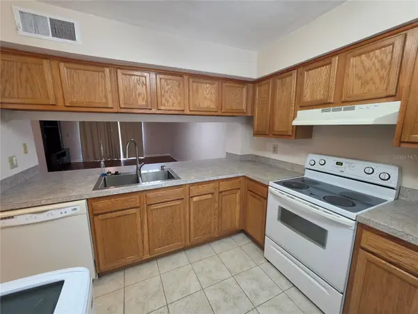 5202 SUNRIDGE PALMS DR #5202, Tampa, FL 33617