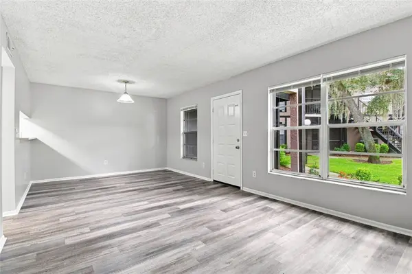 4021 TUMBLE WOOD TRL #102, Tampa, FL 33613