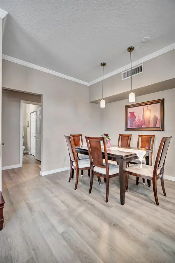 9834 LAKE CHASE ISLAND WAY #9834, Tampa, FL 33626