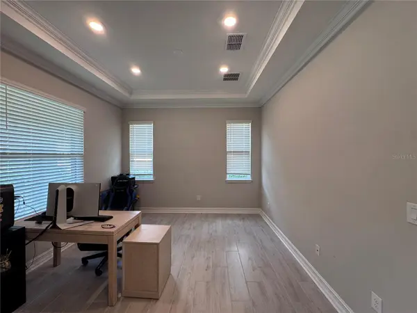 28661 PICANA LN, Wesley Chapel, FL 33543