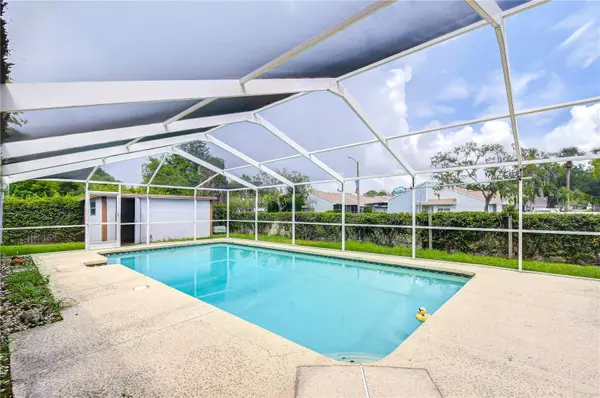 4303 HOLLOW HILL DR, Tampa, FL 33624