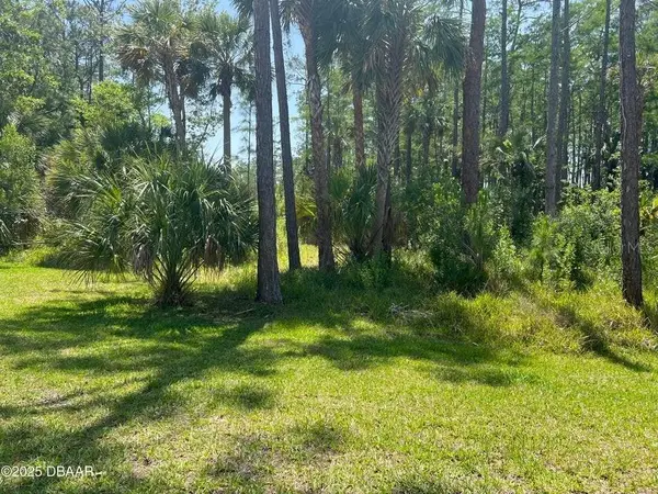 3 REMINGTON RD, Ormond Beach, FL 32174