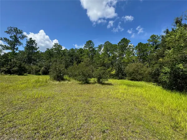 2750 BIG JOHN DR, Deland, FL 32724