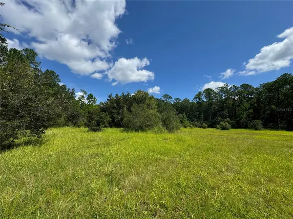 2750 BIG JOHN DR, Deland, FL 32724