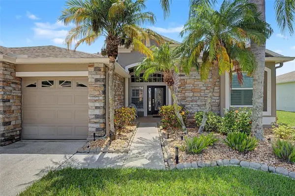 11230 WEDGEMERE DR, Trinity, FL 34655