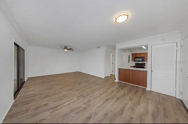 643 HAVEN PL #643, Tarpon Springs, FL 34689