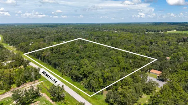 10.30 Acres WISCON RD, Brooksville, FL 34601