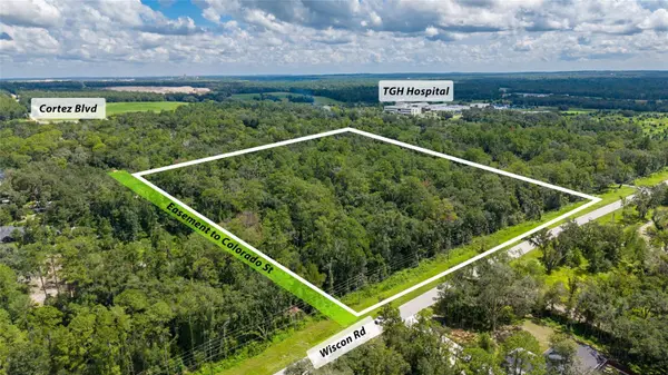 10.30 Acres WISCON RD, Brooksville, FL 34601