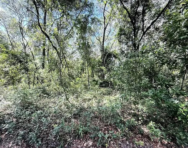 SW 150TH ST, Dunnellon, FL 34432
