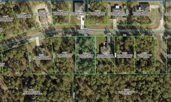 0 THRASHER AVE, Weeki Wachee, FL 34614