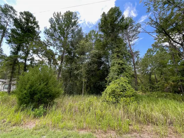 0 THRASHER AVE, Weeki Wachee, FL 34614