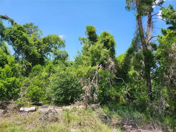 6241 MARINER BLVD #Lot 31, Spring Hill, FL 34609