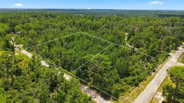 0 LANIER (LOT 1) AVE, Brooksville, FL 34604
