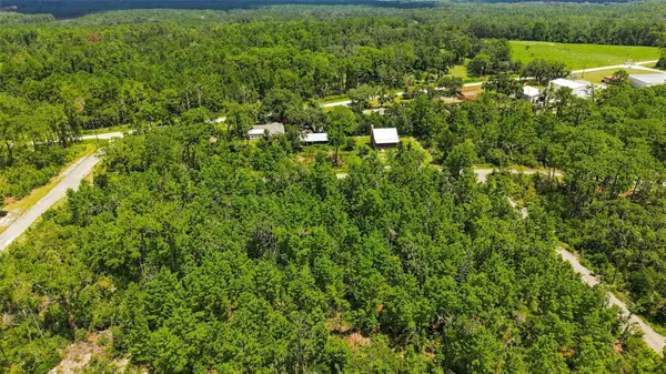 0 LANIER (LOT 1) AVE, Brooksville, FL 34604